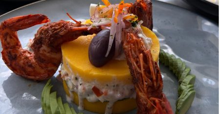 web programas_Mesa de trabajo 1_1_11zon